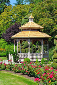 Wooden gazebo and colorful roses in the garden